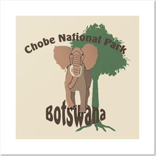 Chobe National Park Elephant Posters and Art